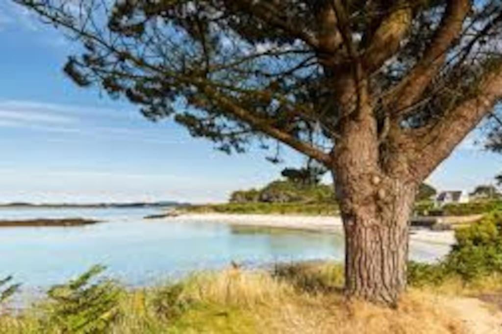 Landéda Gite Entre Mer Et Abers מראה חיצוני תמונה